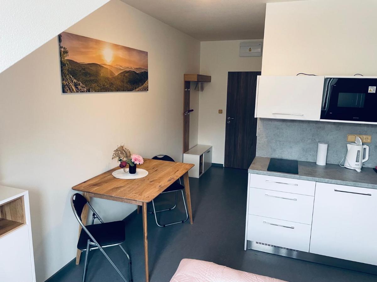 Benesovka Apartment Vacov ภายนอก รูปภาพ